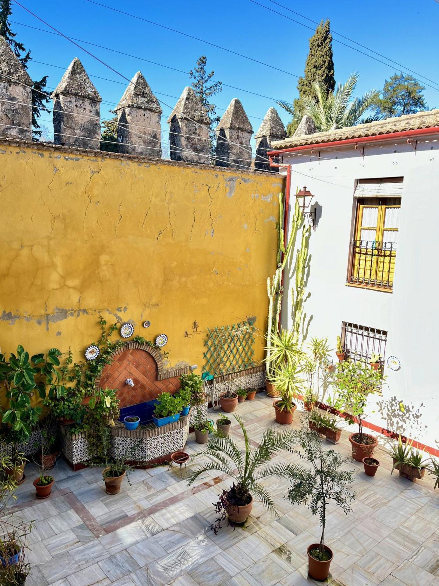 El Patio De Wallada Кордоба Екстериор снимка