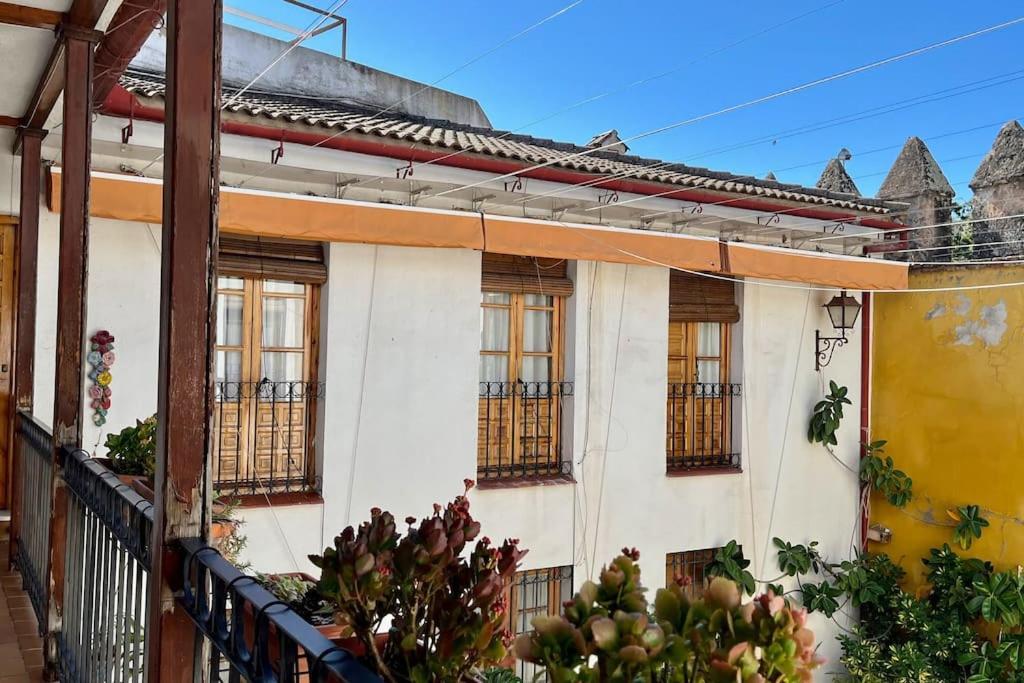 El Patio De Wallada Кордоба Екстериор снимка